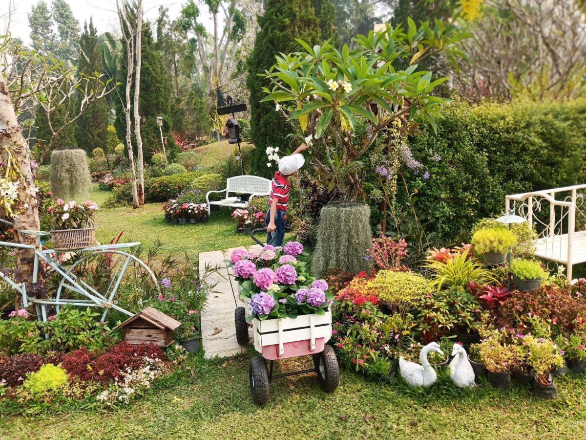 Baan Jaokorkluay บ้านเจ้ากอกล้วย Чианграй Экстерьер фото